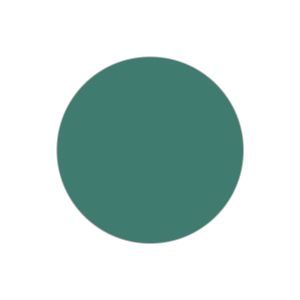 Foto. Econ. I Box 100 pcs