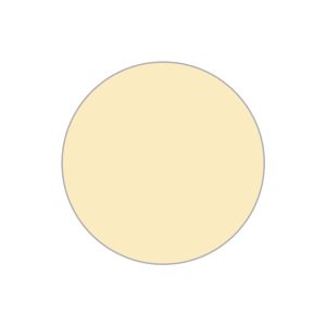 Foto. Econ. I Box 100 pcs