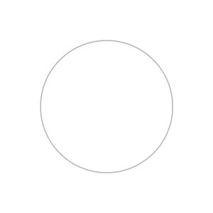 Foto. Econ. I Box 100 pcs