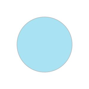 Foto. Econ. I Box 100 pcs