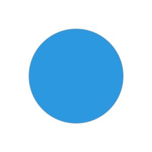 Foto. Econ. I Box 100 pcs