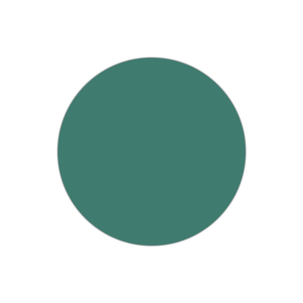 Foto. Econ. I Box 100 pcs