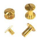 Brass Buried Screws