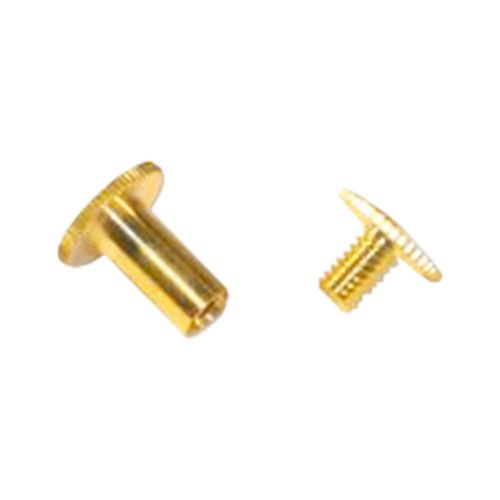 Buried Screws I Box 250 pcs