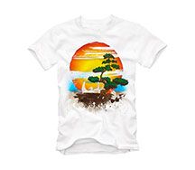 Heat Transfer Papers